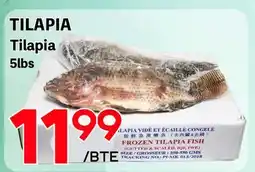 Marche Salaberry TILAPIA offer