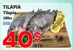 Marche Salaberry Tilapia offer