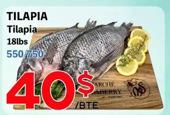 Marche Salaberry Tilapia offer