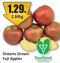 Starsky Ontario Grown Fuji Apples offer