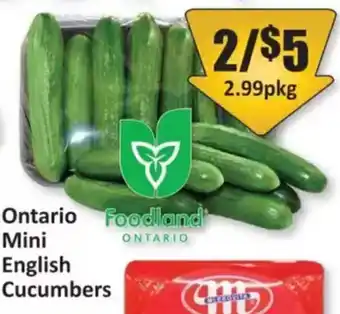 Starsky Ontario Mini English Cucumbers offer