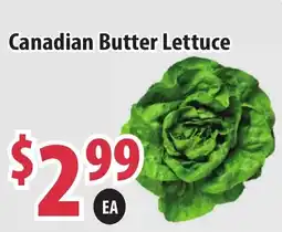 Tru Value Foods Canadian Butter Lettuce offer