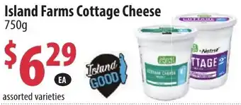 Tru Value Foods Island Farms Cottage Cheese offer