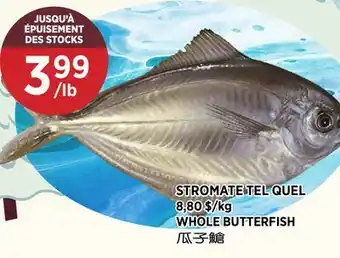 Kim Phat WHOLE BUTTERFISH offer