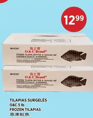 Kim Phat O&C FROZEN TILAPIAS offer