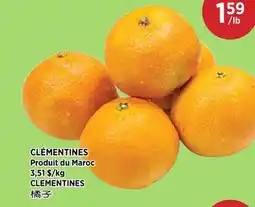 Kim Phat CLEMENTINES offer