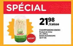 Kim Phat ENOKI MUSHROOMS offer