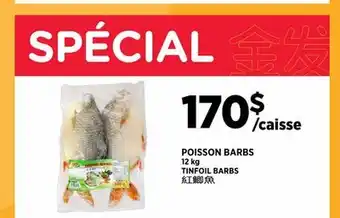 Kim Phat TINFOIL BARBS offer