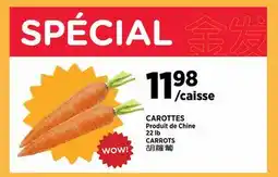 Kim Phat CARROTS offer