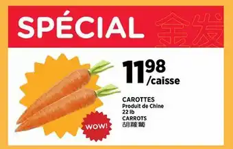 Kim Phat CARROTS offer