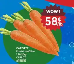 Kim Phat CARROT offer