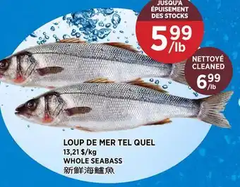 Kim Phat WHOLE SEABASS offer