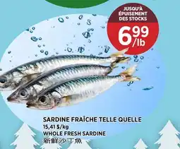 Kim Phat WHOLE FRESH SARDINE offer