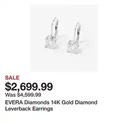 TSC Stores EVERA Diamonds 14K Gold Diamond Leverback Earrings offer