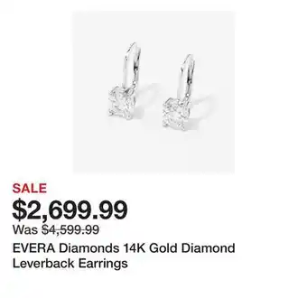 TSC Stores EVERA Diamonds 14K Gold Diamond Leverback Earrings offer