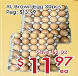 Sunny Food Mart XL Brown Egg offer