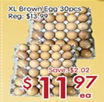 Sunny Food Mart XL Brown Egg offer