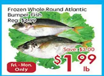 Sunny Food Mart Frozen Whole Round Atlantic Bumper Fish offer