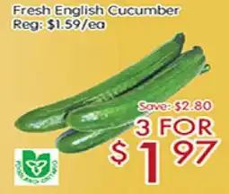 Sunny Food Mart Fresh English Cucumber offer