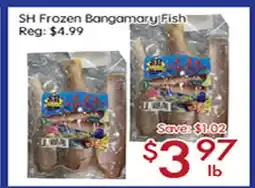 Sunny Food Mart SH Frozen Bangamary Fish offer