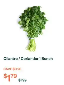 Voilà Cilantro / Coriander 1 Bunch offer