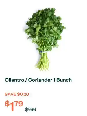 Voilà Cilantro / Coriander 1 Bunch offer