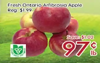 Sunny Food Mart Fresh Ontario Ambrosia Apple offer