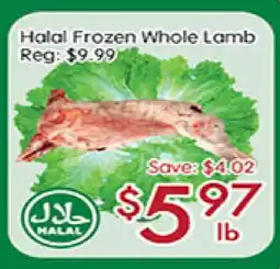 Sunny Food Mart Halal Frozen Whole lamb offer