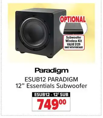 2001 Audio Video ESUB12 12 Essentials Subwoofer offer