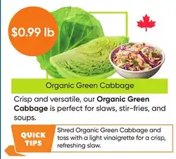 Healthy Planet Organic Green Cabbage offer