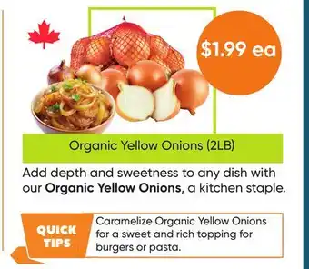 Healthy Planet Organic Yellow Onions (2LB) offer