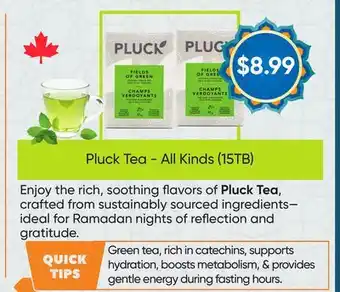 Healthy Planet Pluck Tea- All Kinds (15TB) offer