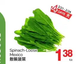 T&T Supermarket SPINACH-LOOSE offer