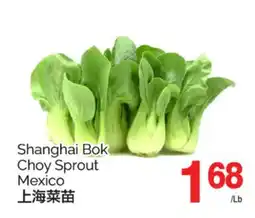 T&T Supermarket SHANGHAI BOK CHOY SPROUT offer