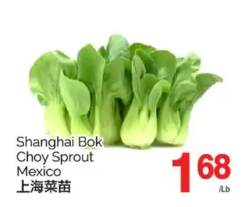 T&T Supermarket SHANGHAI BOK CHOY SPROUT offer