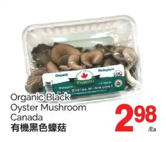 T&T Supermarket ORGANIC BLACK OYSTER MUSHROOM offer