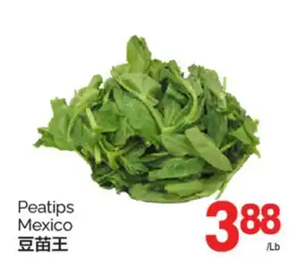 T&T Supermarket PEATIPS offer