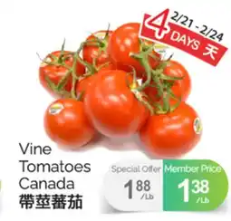 T&T Supermarket VINE TOMATOES CANADA offer