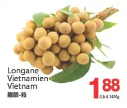 T&T Supermarket LONGANE VIETNAMIEN VIETNAM offer