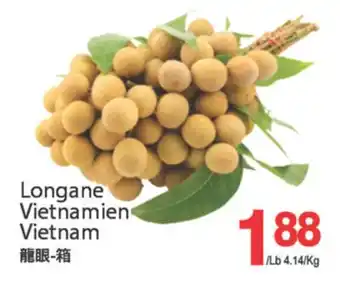 T&T Supermarket LONGANE VIETNAMIEN VIETNAM offer