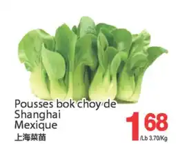 T&T Supermarket POUSSES BOK CHOY DE SHANGHAI offer