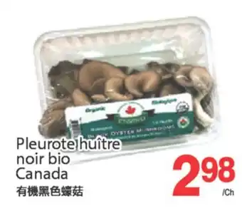 T&T Supermarket PLEUROTE HUITRE NOIR BIO CANADA offer