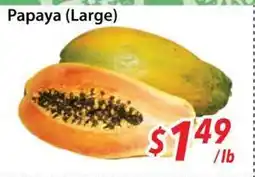 Bestco Food Mart Papaya (Large) offer