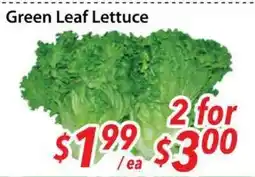 Bestco Food Mart Green Leaf Lettuce offer