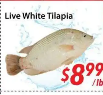 Bestco Food Mart Live White Tilapia offer