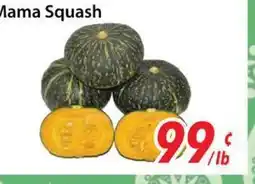 Bestco Food Mart Mama Squash offer