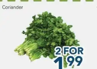 Oceans Fresh Food Market Coriander offer