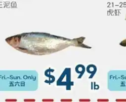 Oceans Fresh Food Market Short Fish offer