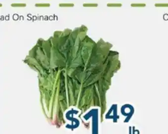 Oceans Fresh Food Market Head On Spinach offer