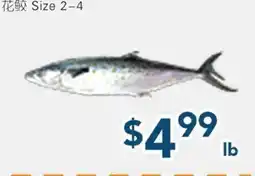 Oceans Fresh Food Market Baby king Fish offer